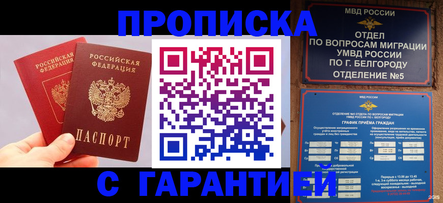 прописка 2025 в Белой Холунице